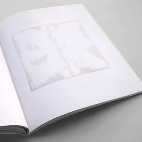 Robert Ryman / versions