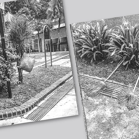 Forming Cityscapes #8 Plants