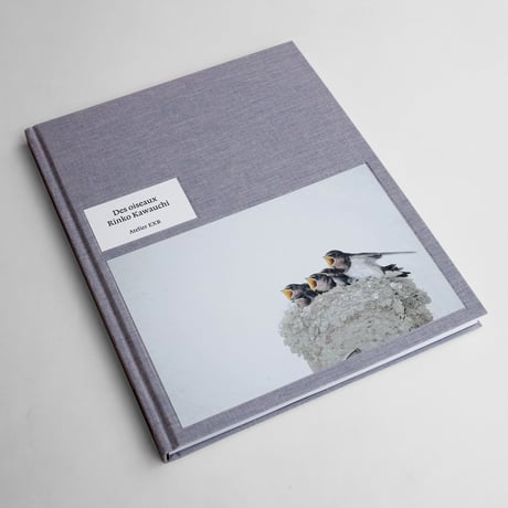 Rinko Kawauchi / Des Oiseaux