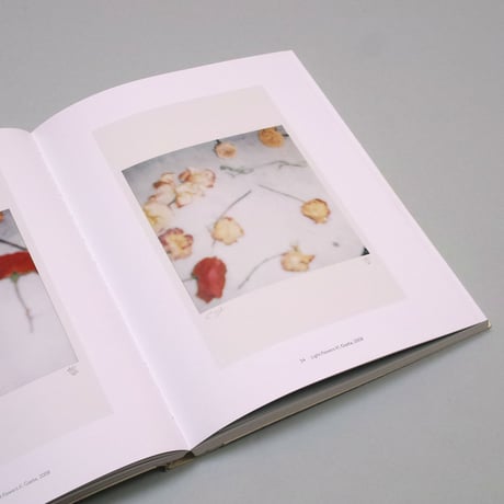 Cy Twombly / Photographs