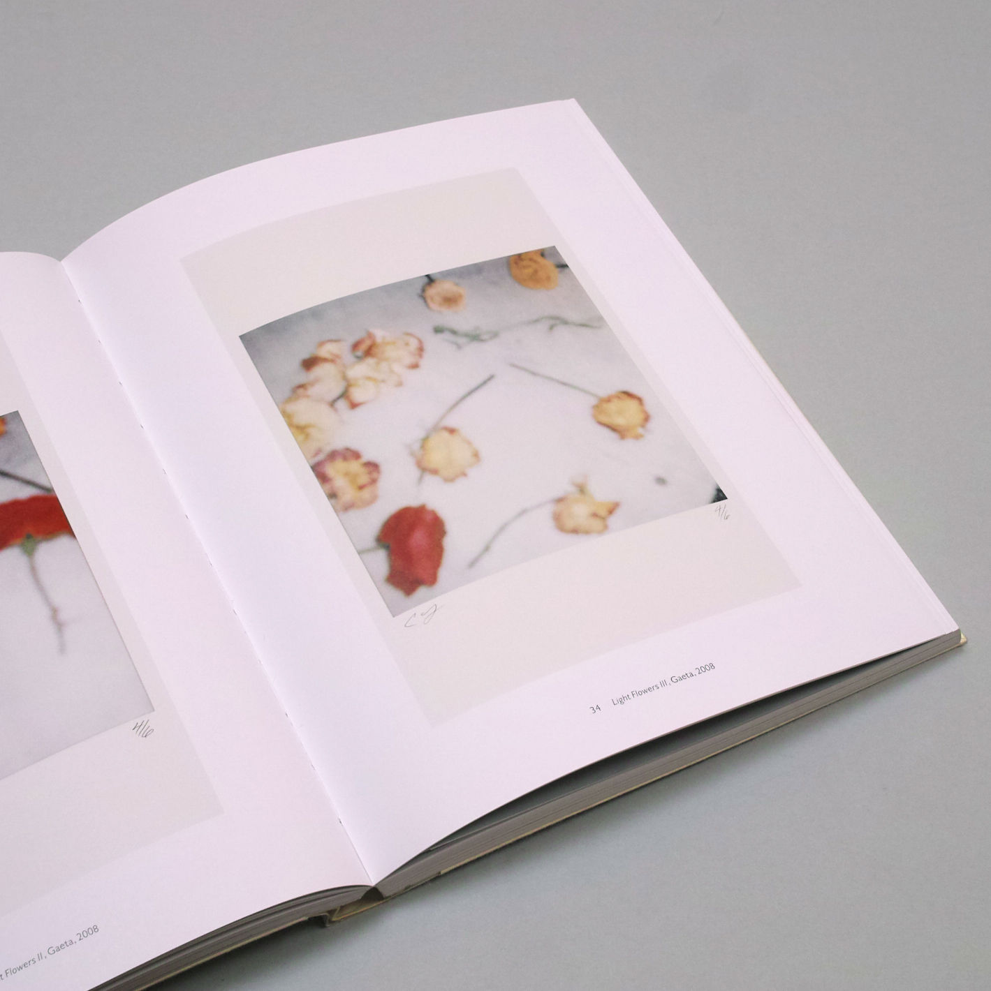 Cy Twombly / Photographs | POST