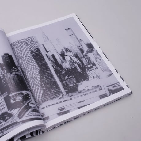 Fredi Fischli, Niels Olsen / Trix + Robert Haussmann