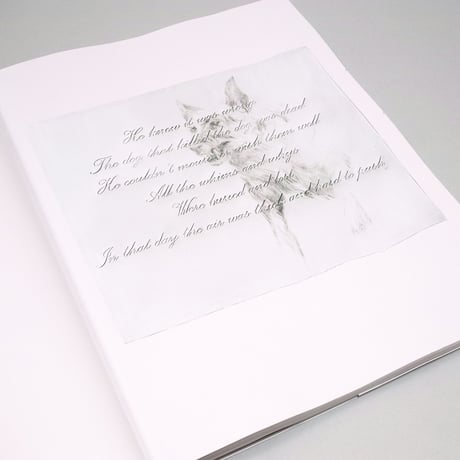 James Drake / Red Drawings & White Cut-outs 