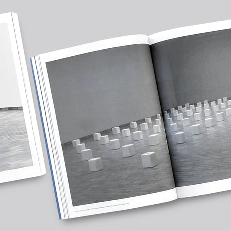 Carl Andre / Sculpture as Place 1958-2010 (Paperback)