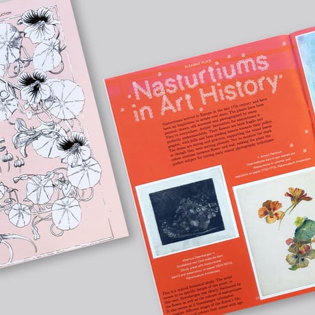 Pleasant Place 2: Nasturtiums (Tropaeolum Majus)