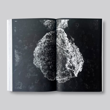 Formafantasma / Down Under