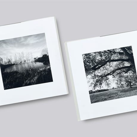 Robert Adams / Cottonwoods