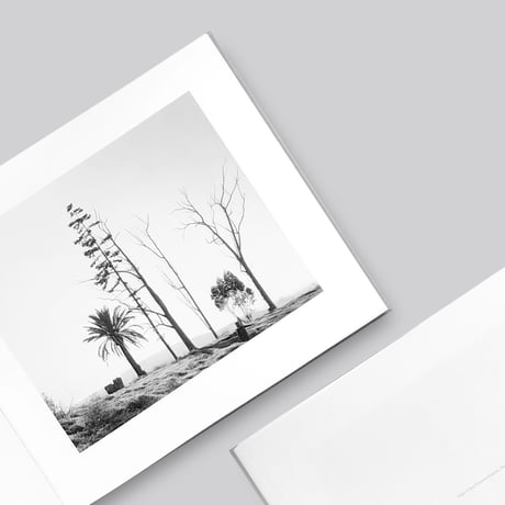 Robert Adams / Los Angeles Spring