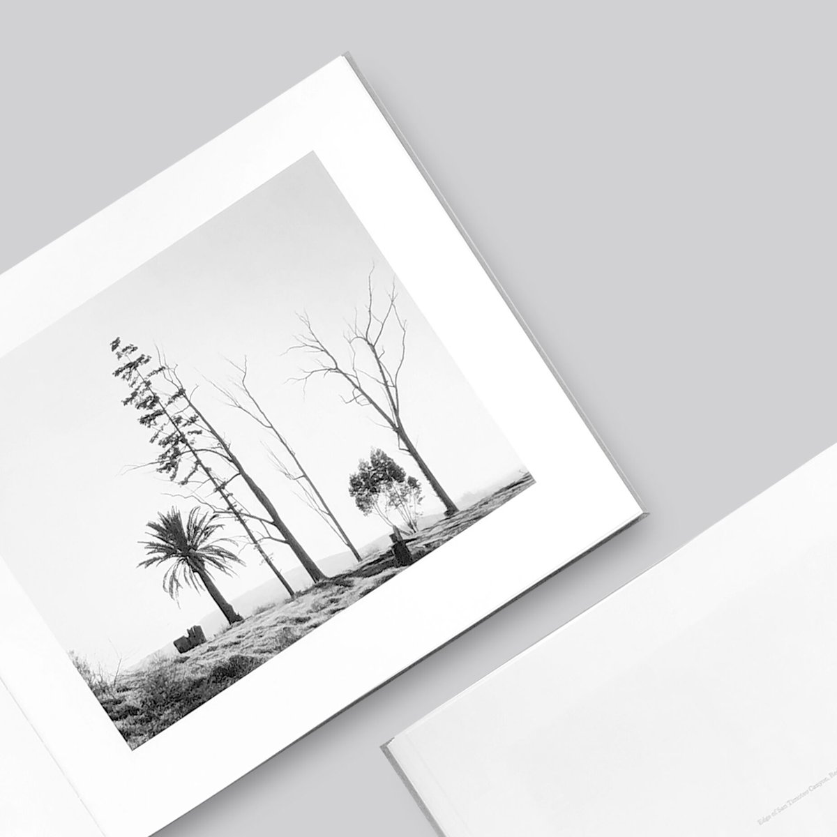 Robert Adams / Los Angeles Spring | POST