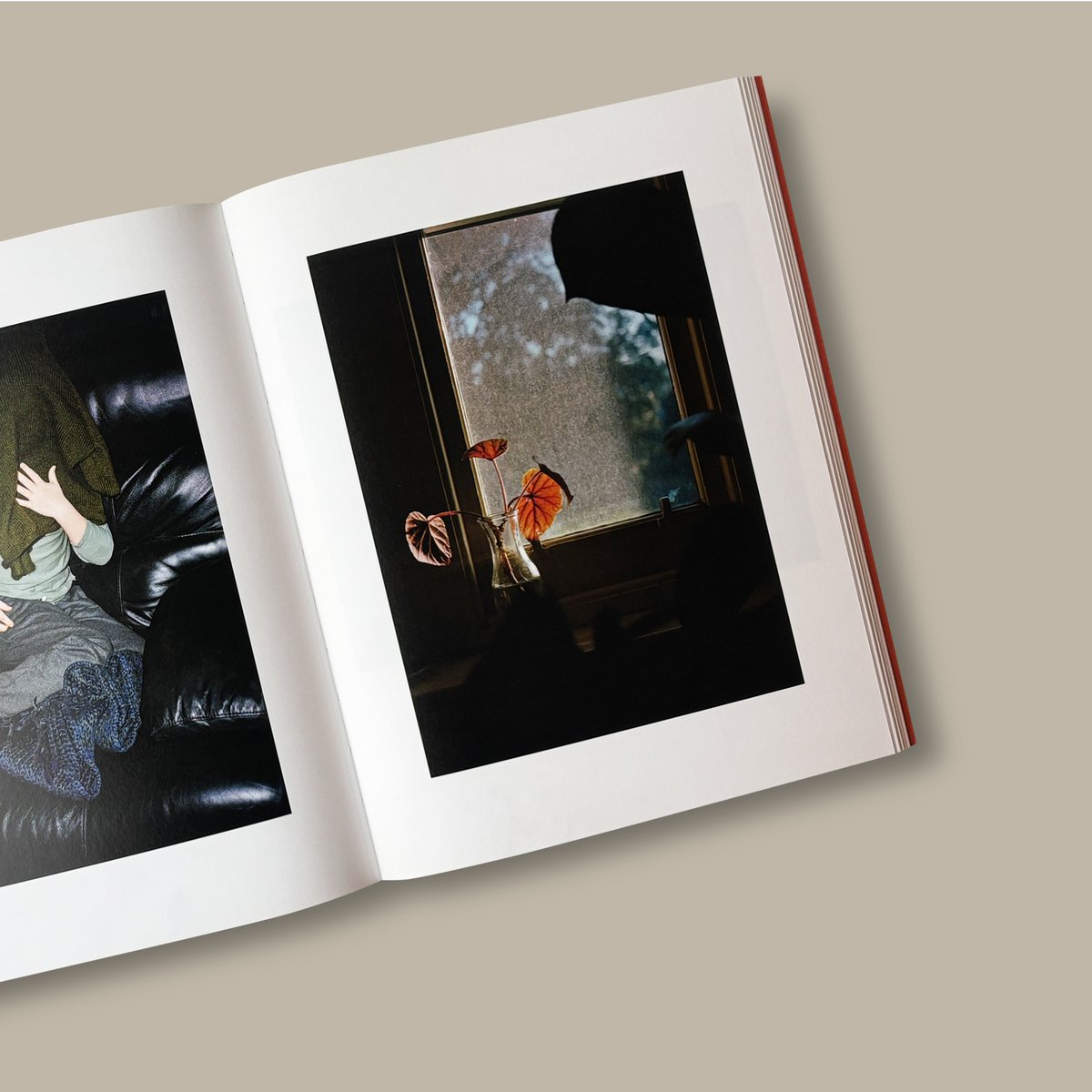 CC】Katrin Koenning / BETWEEN THE SKIN AND SEA