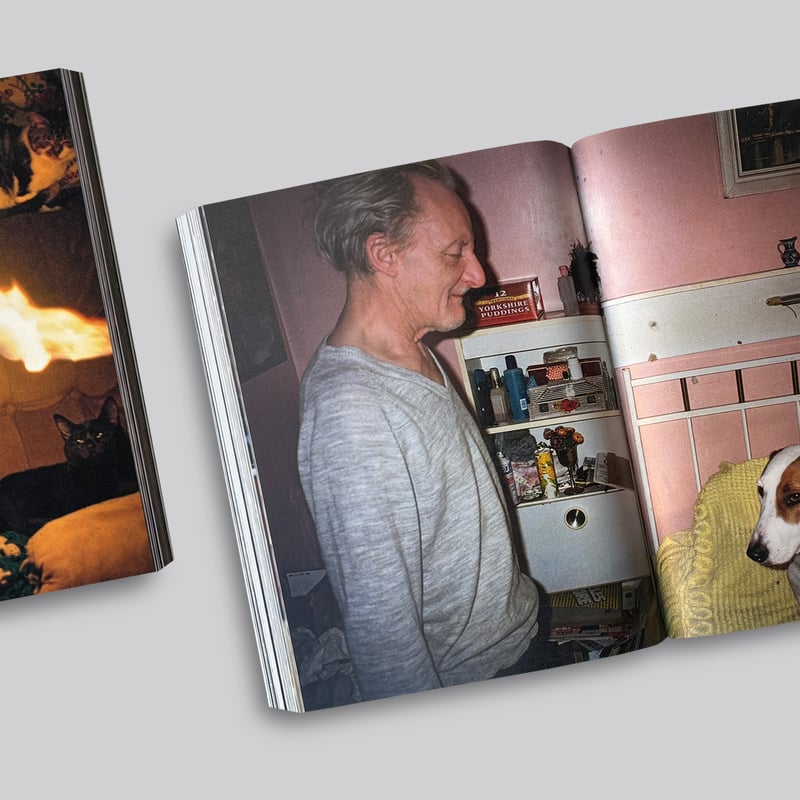 Richard Billingham / RAY'S A LAUGH | POST