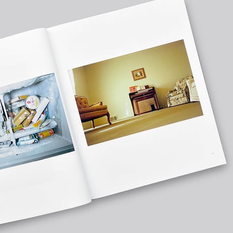 William Eggleston / Mystery of the Ordinary