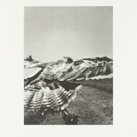 Stephen Gill / The Pillar - Collotype 3 - Edition 30