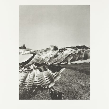 Stephen Gill / The Pillar - Collotype 3 - Edition 30