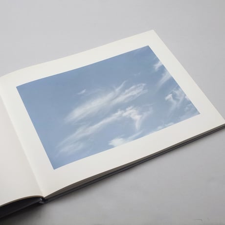 William Eggleston / At Zenith