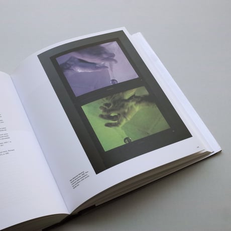 Bruce Neumann / Disappearing Acts