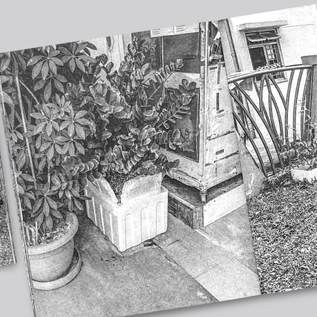 Forming Cityscapes #8 Plants