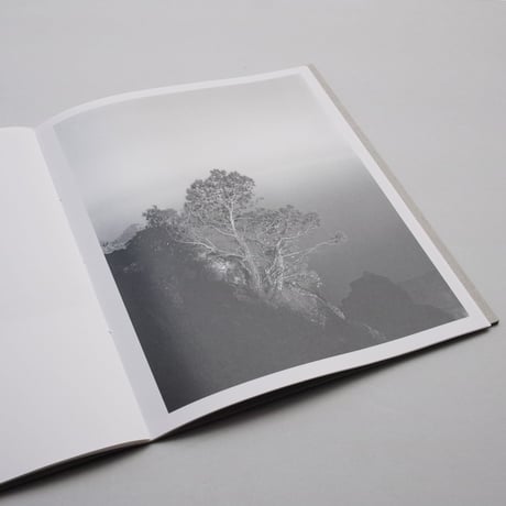 Awoiska van der Molen / Blanco