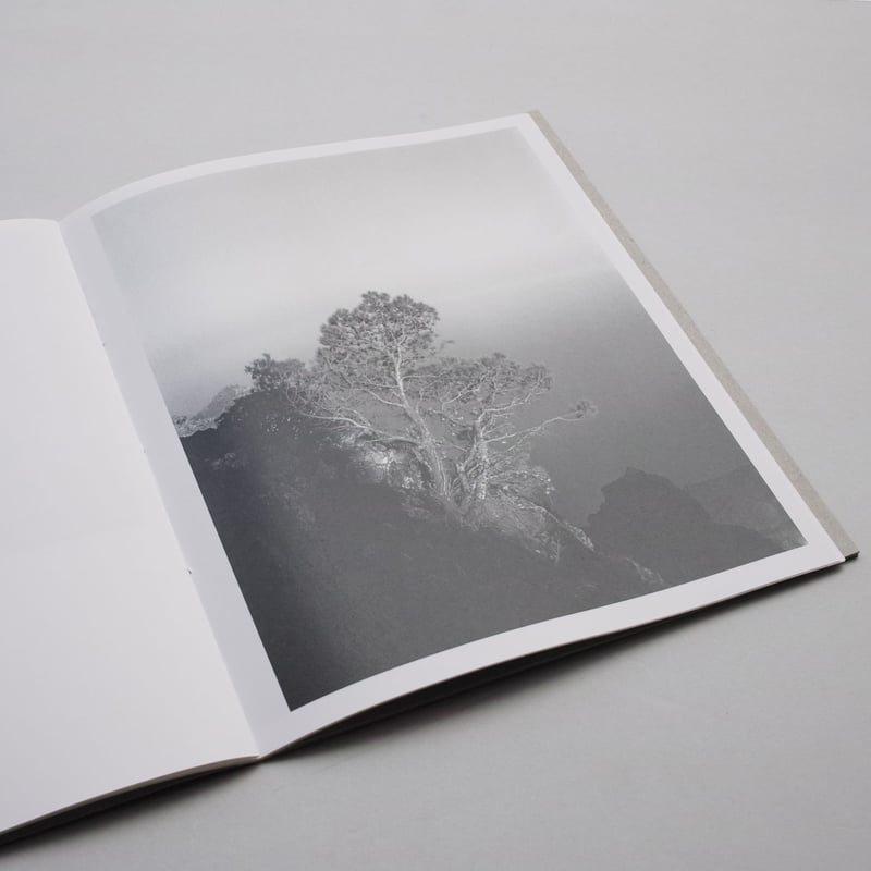 Awoiska van der Molen / Blanco | POST