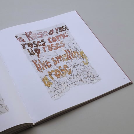 Roni Horn / Th Rose Prblm