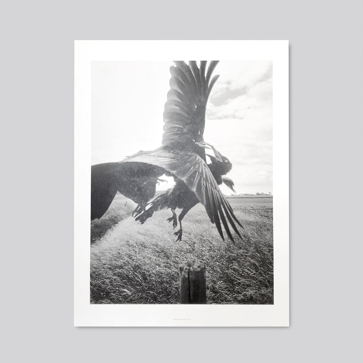 The Pillar Stephen Gill　スティーブン・ギル　サイン本 The Pillar（Signed） - Stephen Gill