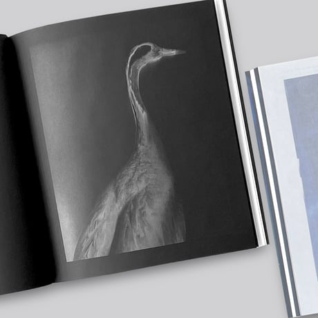 The Mimetic Observer. A Visual Reading on Dante’s Divine Comedy