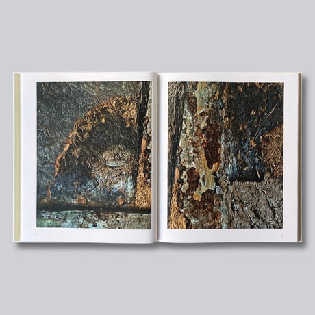Robert Polidori / Topographical Histories