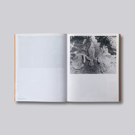 Ana Mendieta / Search for Origin