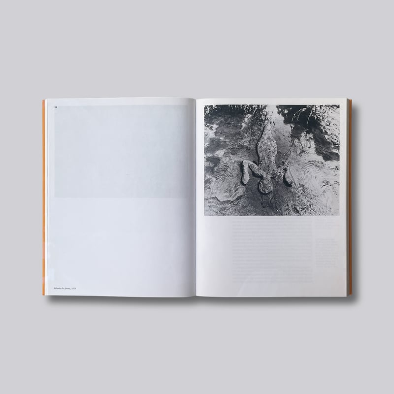Ana Mendieta / Search for Origin | POST