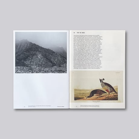 Todd Stewart, Robert Bailey / The Course of Water – Fieldnotes from California's Owens Valley