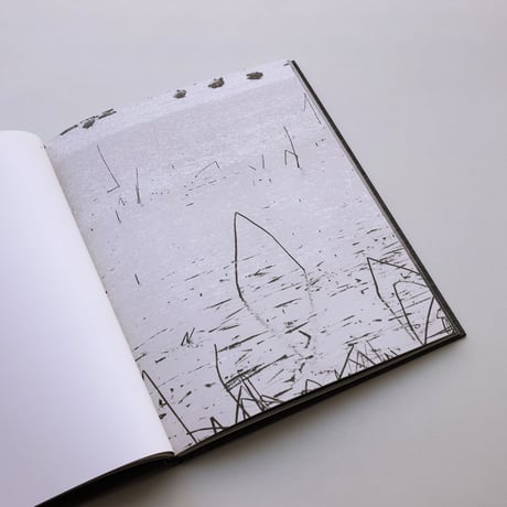 Byung-Hun Min / Des Oiseaux