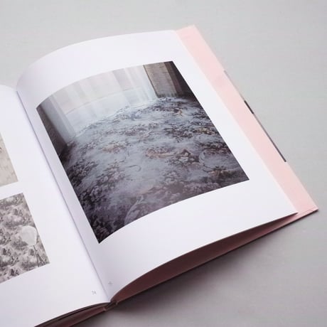 Roselyne Titaud / Geographies Des Limites Humaines