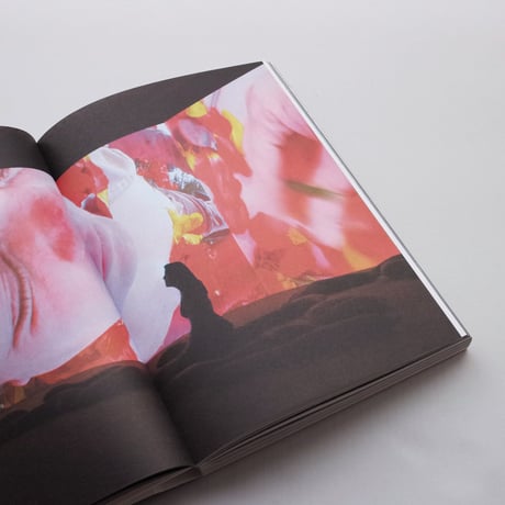 Pipilotti Rist / Elixir