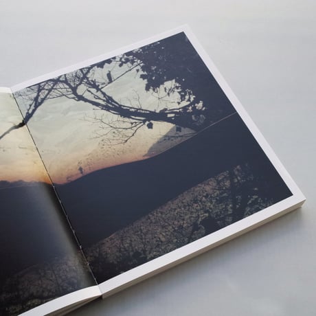 Dafna Talmor / Constructed Landscapes