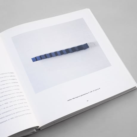 Donald Judd  / Colorist