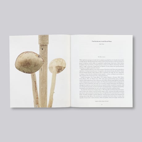 Cy Twombly / Glenstone Catalogue
