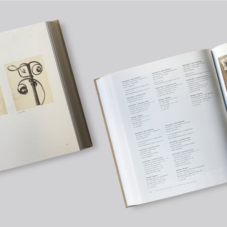Karl Blossfeldt / Photography in the Light of Art