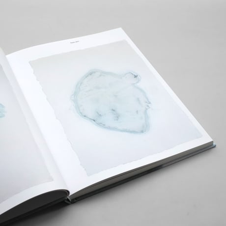Sarah Bildstein / 100 Spectres
