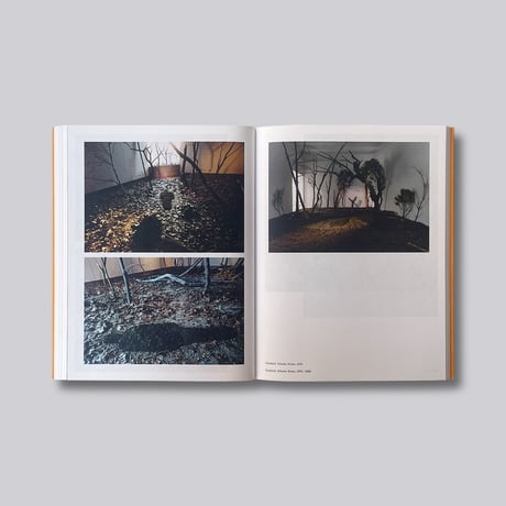 Ana Mendieta / Search for Origin