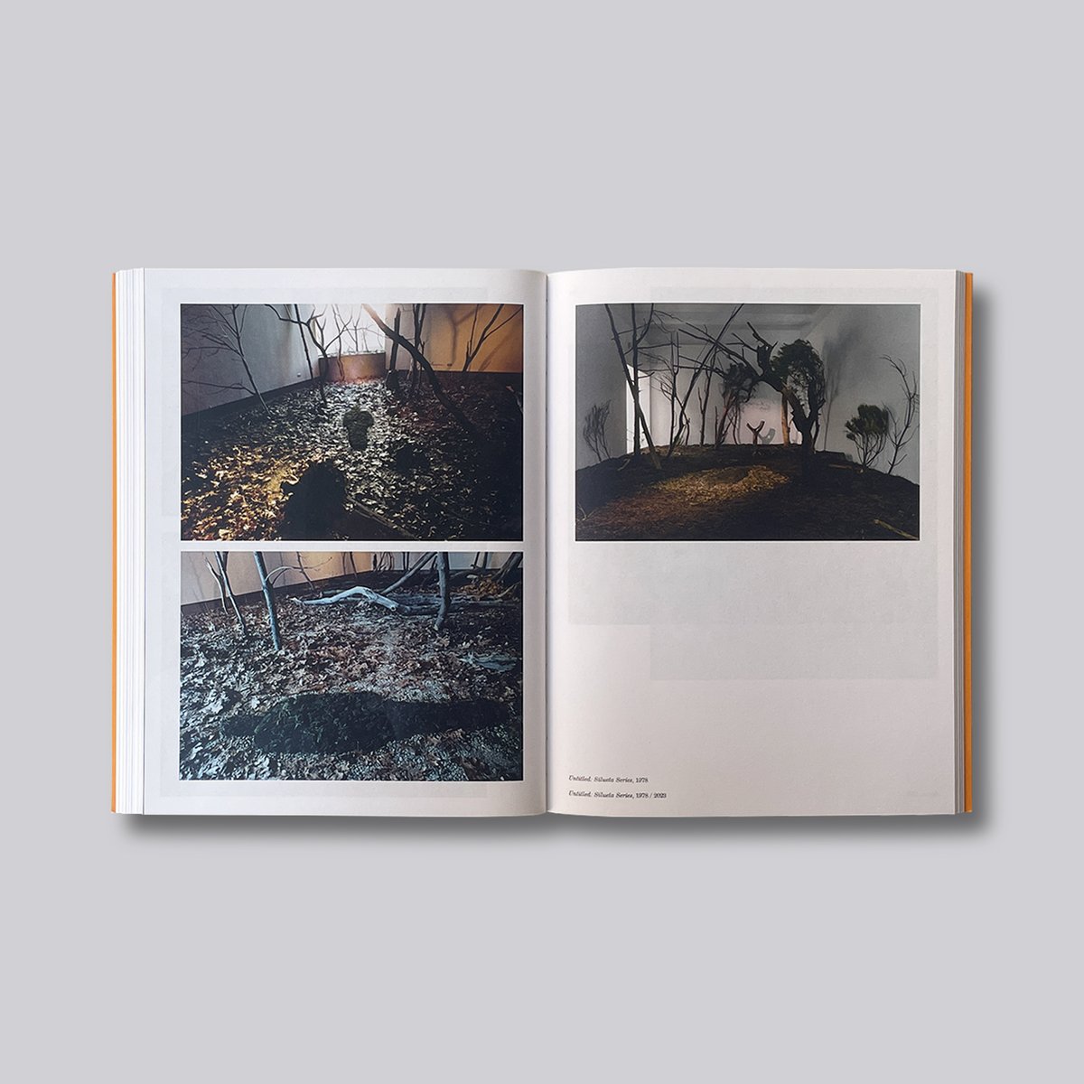 Ana Mendieta / Search for Origin | POST