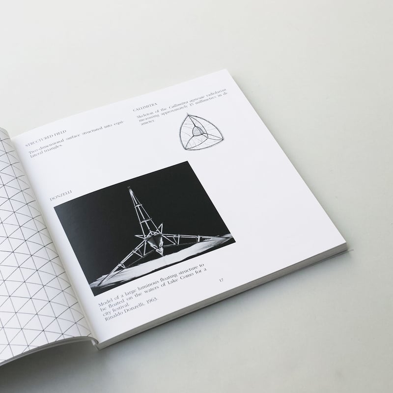 Bruno Munari ブルーノ・ムナーリ Design as Art Disegnare un Albero | Bruno Munari ブルーノ・ムナーリ