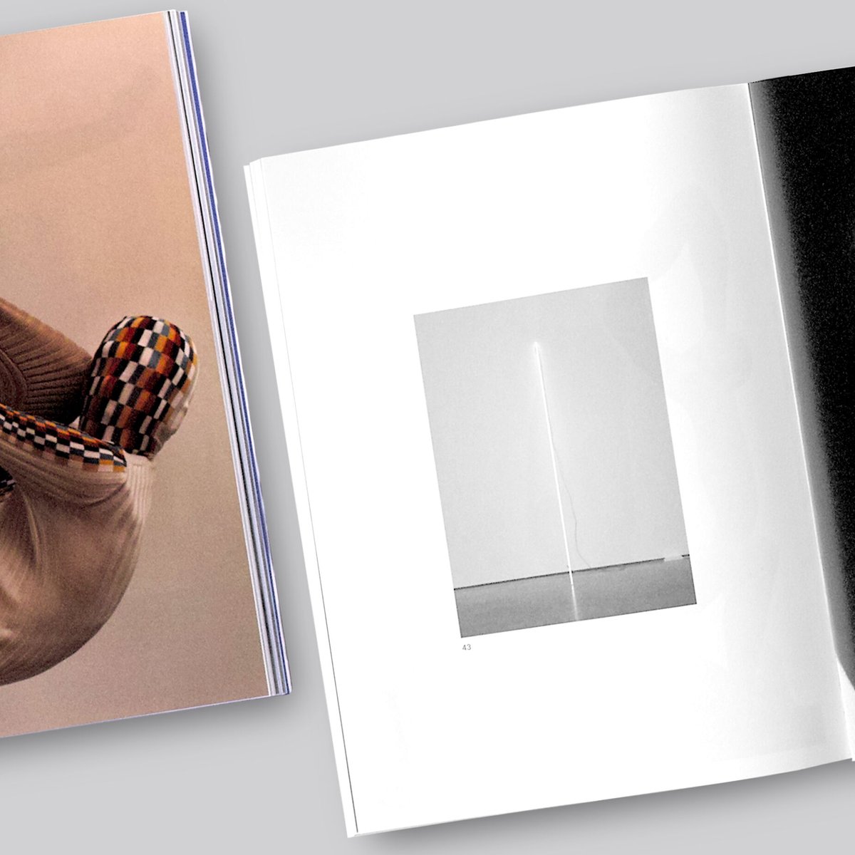 JWANDERSON DISOBEDIENT BODIES サイン入り　写真集 JWANDERSON DISOBEDIENT BODIES サイン入り 写真集 Disobedient