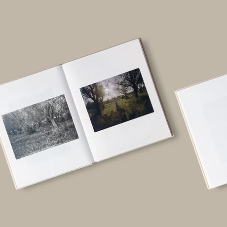 【CC】Irina Rozovsky, Mark Steinmetz / INSIEME