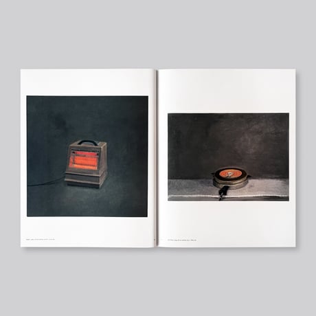 Vija Celmins