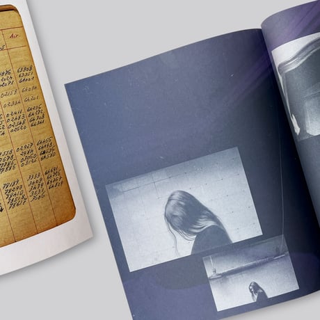 Sophie Calle & Jean-Paul Demoule / The Elevator Resides in 501