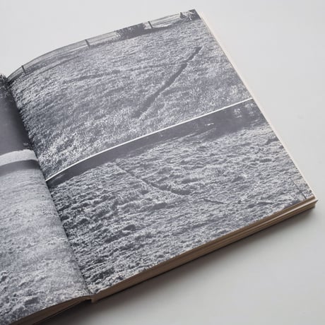 Arte Povera Gabriele Mazzotta Editore