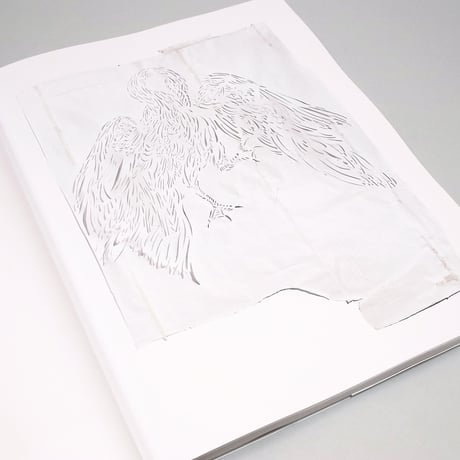 James Drake / Red Drawings & White Cut-outs 