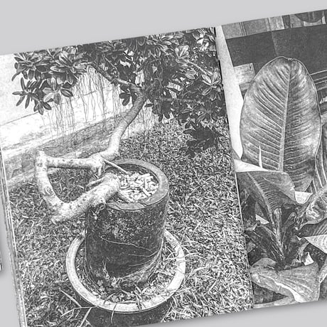 Forming Cityscapes #8 Plants