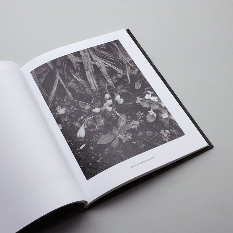 Paul Strand / The Garden at Orgeval | POST