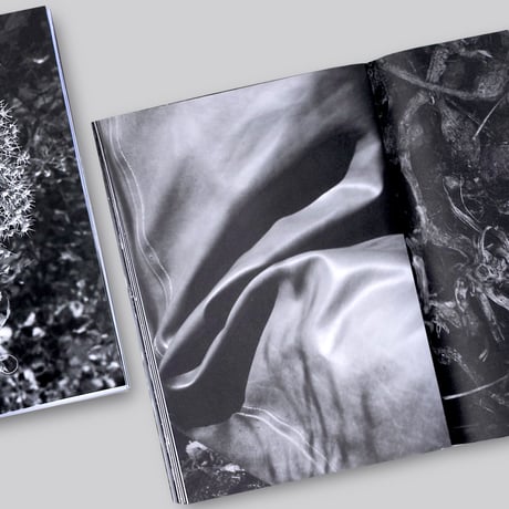 Marijn Bax / ANK - Another Kind of Need